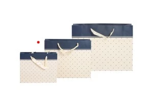 Хартиена подаръчна торбичка със сатенени дръжки 250x80x200 mm-3