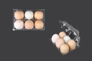 6-местни пластмасови кутии за яйца с размери 145х100х64 мм - 100 бр.-7