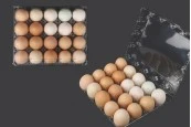 Пластмасови кутии за яйца с размери 20 места 240х190х60 мм - 100 бр. Пластмасови кутии за яйца с размери 20 места 240х190х60 мм - 100 бр.