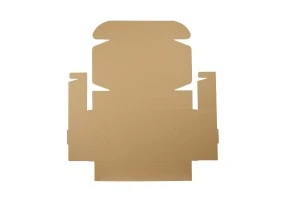 Хартиена крафт кутия с размери 240x180x70 mm- 20 бр.-5