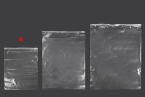 Торбички  с цип 220x280 mm , пластмасови  прозрачни - 50 бр-6