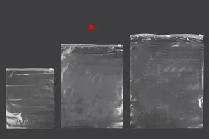 Пластмасов прозрачни пликове с цип с размери  300x400 mm - 50 бр.-6