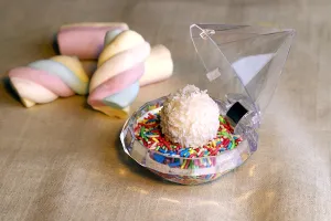 Пластмасови прозрачни кутийки- 12 бр-3