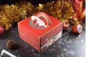 Коледна хартиена подаръчна кутия 250х250х150 мм с дръжка - 10 бр-изображение_група