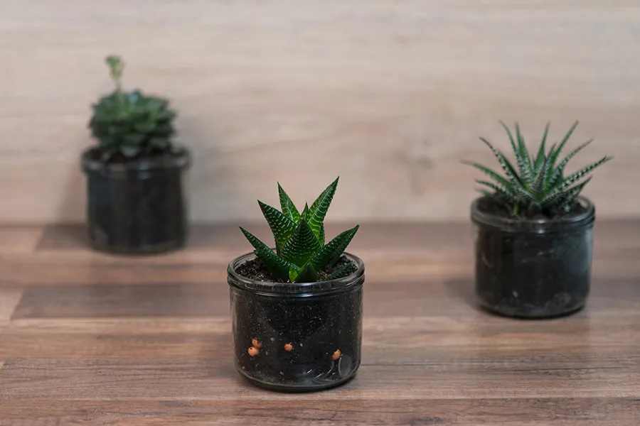 Цилиндричен декоративен буркан 525 мл-изображение_група