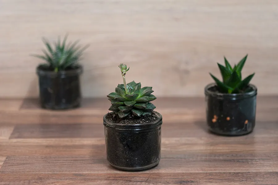 Цилиндричен декоративен буркан 525 мл-изображение_група