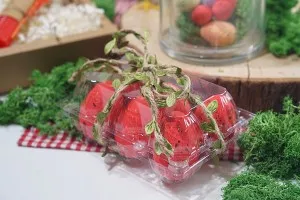 Пластмасови кутии за яйца с размери 20 места 240х190х60 мм - 100 бр.-5