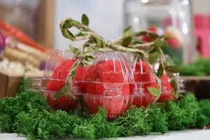 Пластмасови кутии за яйца с размери 20 места 240х190х60 мм - 100 бр.-6
