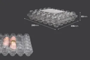 Пластмасови кутии за яйца с  283x236x65 mm ( за 30 бр. яйца) - 100 бр.-2