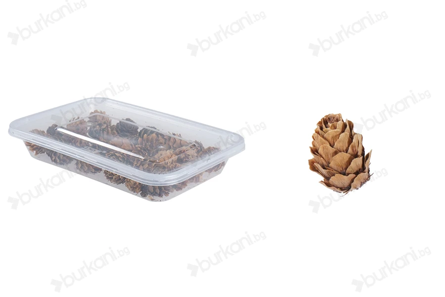 Декоративни мини шишарки - 30 гр-изображение_продукт