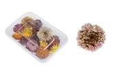 Lule dekorative të thata - 10 g Lule dekorative të thata - 10 g