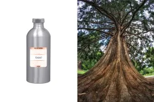 Мъжки парфюм  15-2081 1000 мл -изображение_продукт