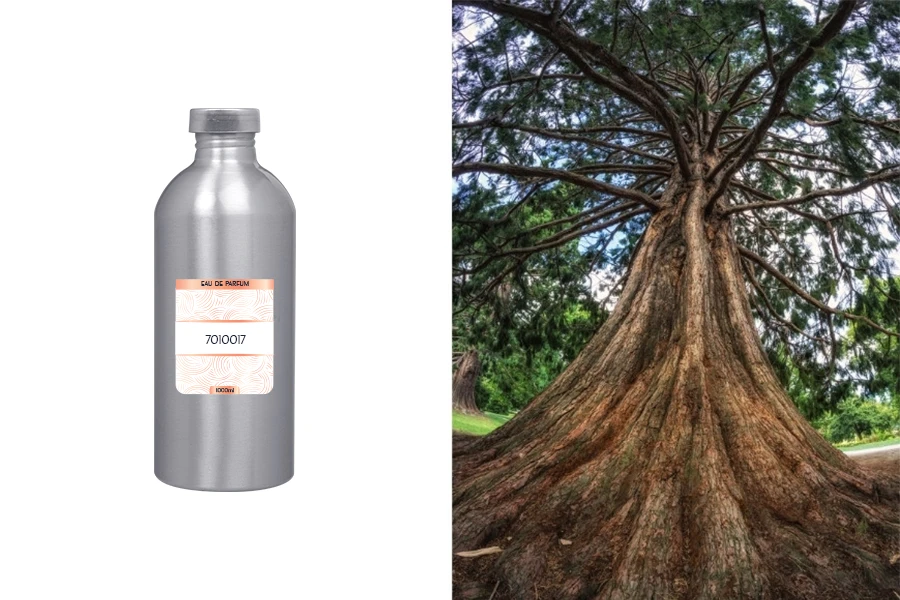 Мъжки парфюм  15-2081 1000 мл -изображение_продукт