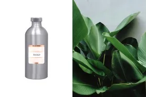 Унисекс парфюмна вода  Eau de Parfum  16-2372 (1000 ml)-изображение_продукт