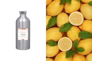 Мъжки парфюм 16-3101 Eau de Parfum (1000 ml)-изображение_продукт