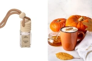 Erëza kungull Hapësirë aromatike 1000 ml-изображение_продукт