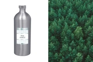 Nana's Cookies Hapësirë aromatike 1000 ml-изображение_продукт