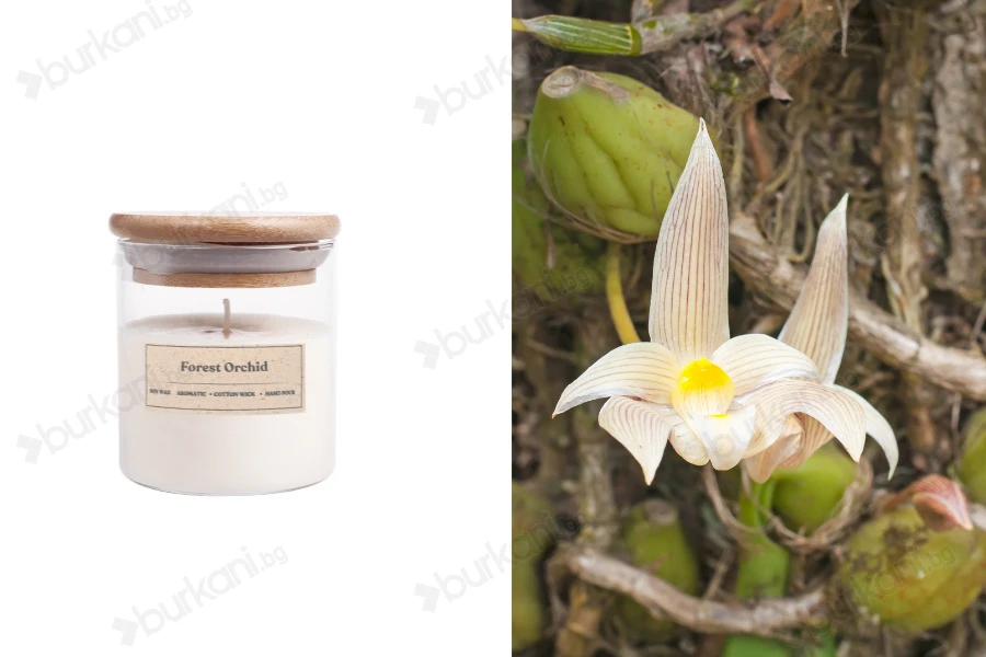 Ръчно изработена ароматна свещ с дървен фитил  Forest Orchid - 110 гр.-изображение_продукт