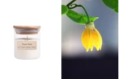 Ароматна свещ Ylang-ylang 110 гр с памучен фитил -изображение_продукт