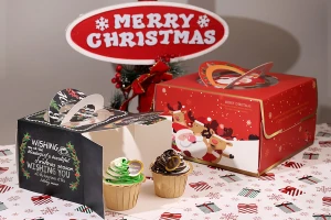 Коледна хартиена подаръчна кутия 250х250х150 мм с дръжка - 10 бр-изображение_група