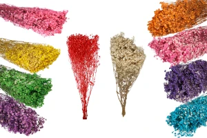 Сухи декоративни цветя - букет 100гр-изображение_продукт