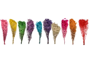 Сухи декоративни цветя - букет 100гр-изображение_група