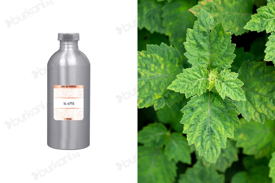 Мъжки парфюм Eau de Parfum 7010056 (1000 ml)-изображение_продукт