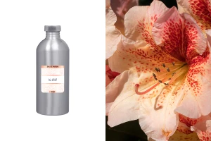 Унисекс парфюмна вода 16-6565 (1000 ml)-изображение_продукт