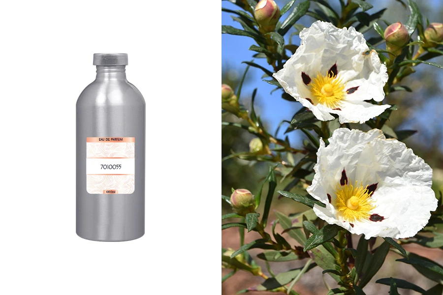 Мъжки парфюм Eau de Parfum Код 16-6557  (1000 ml)-изображение_продукт