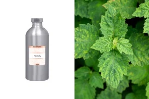 Мъжки парфюм Eau de Parfum 7010056 (1000 ml)-изображение_продукт