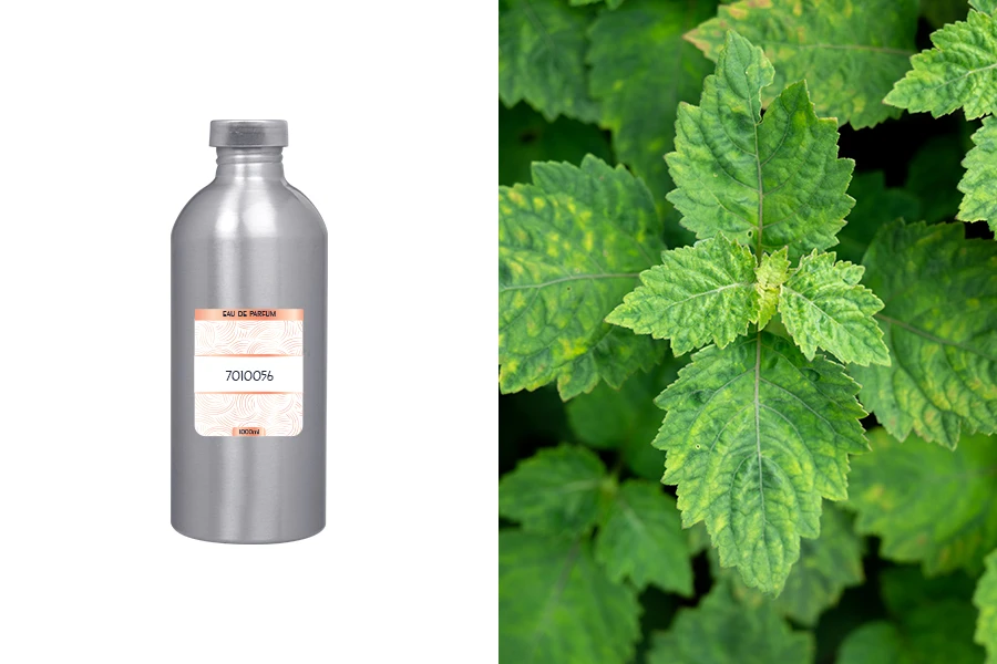 Мъжки парфюм Eau de Parfum 7010056 (1000 ml)-изображение_продукт