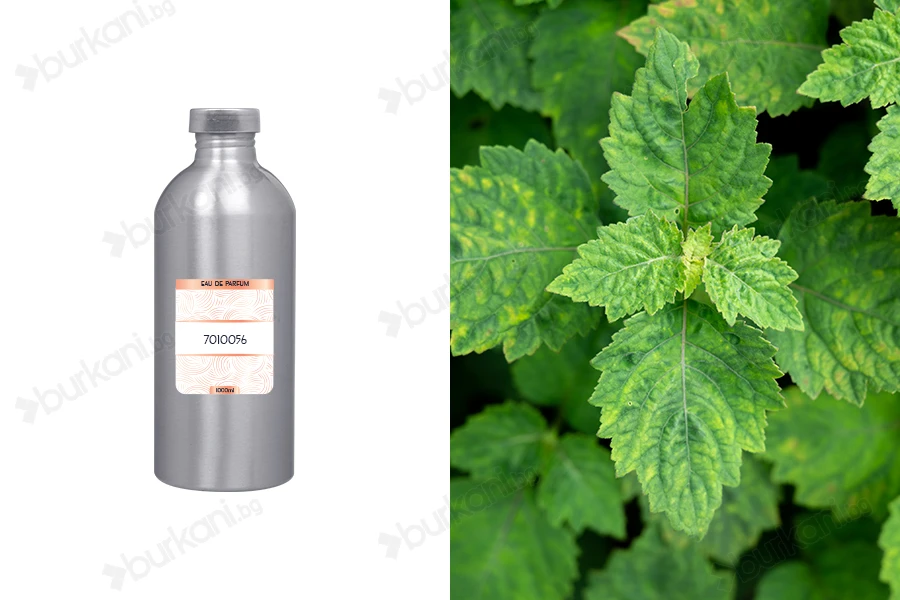 Мъжки парфюм Eau de Parfum 7010056 (1000 ml)-изображение_продукт