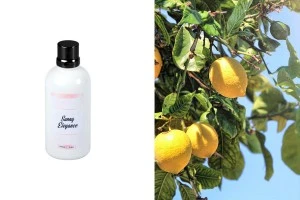 Ароматно масло Sunny Elegance 100 мл за свещи-изображение_продукт