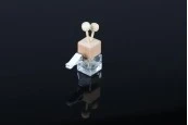 Стъклена бутилка 7 мл за ароматизатор с дървена капачка и пръчки - 25 бр Стъклена бутилка 7 мл за ароматизатор с дървена капачка и пръчки - 25 бр